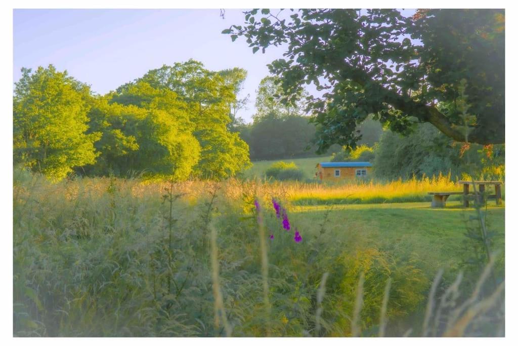 Mountbatten Shepherds Hut & Buckhurst Shepherds Hut Ашфорд Екстер'єр фото