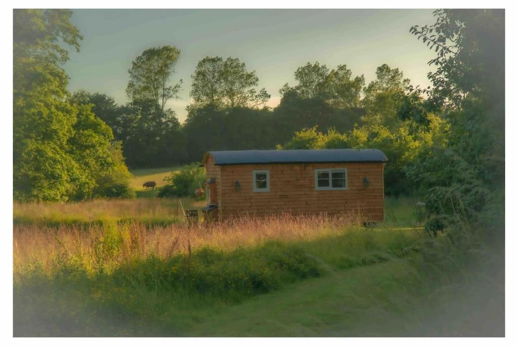Mountbatten Shepherds Hut & Buckhurst Shepherds Hut Ашфорд Екстер'єр фото