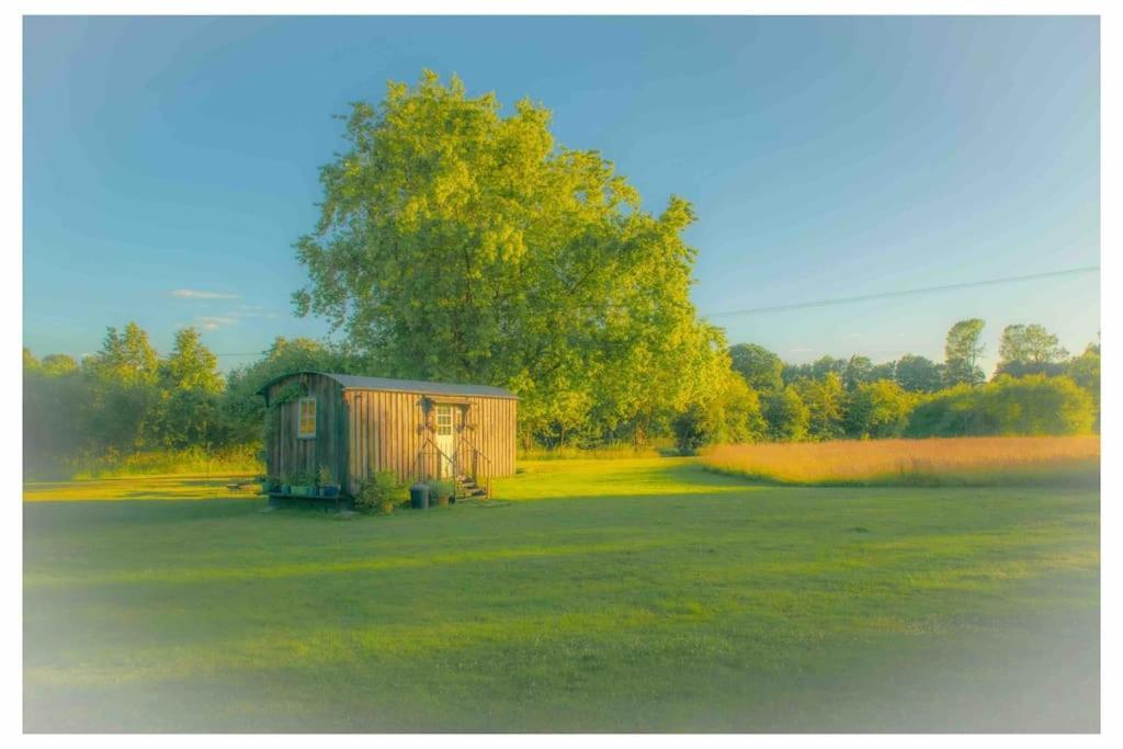 Mountbatten Shepherds Hut & Buckhurst Shepherds Hut Ашфорд Екстер'єр фото