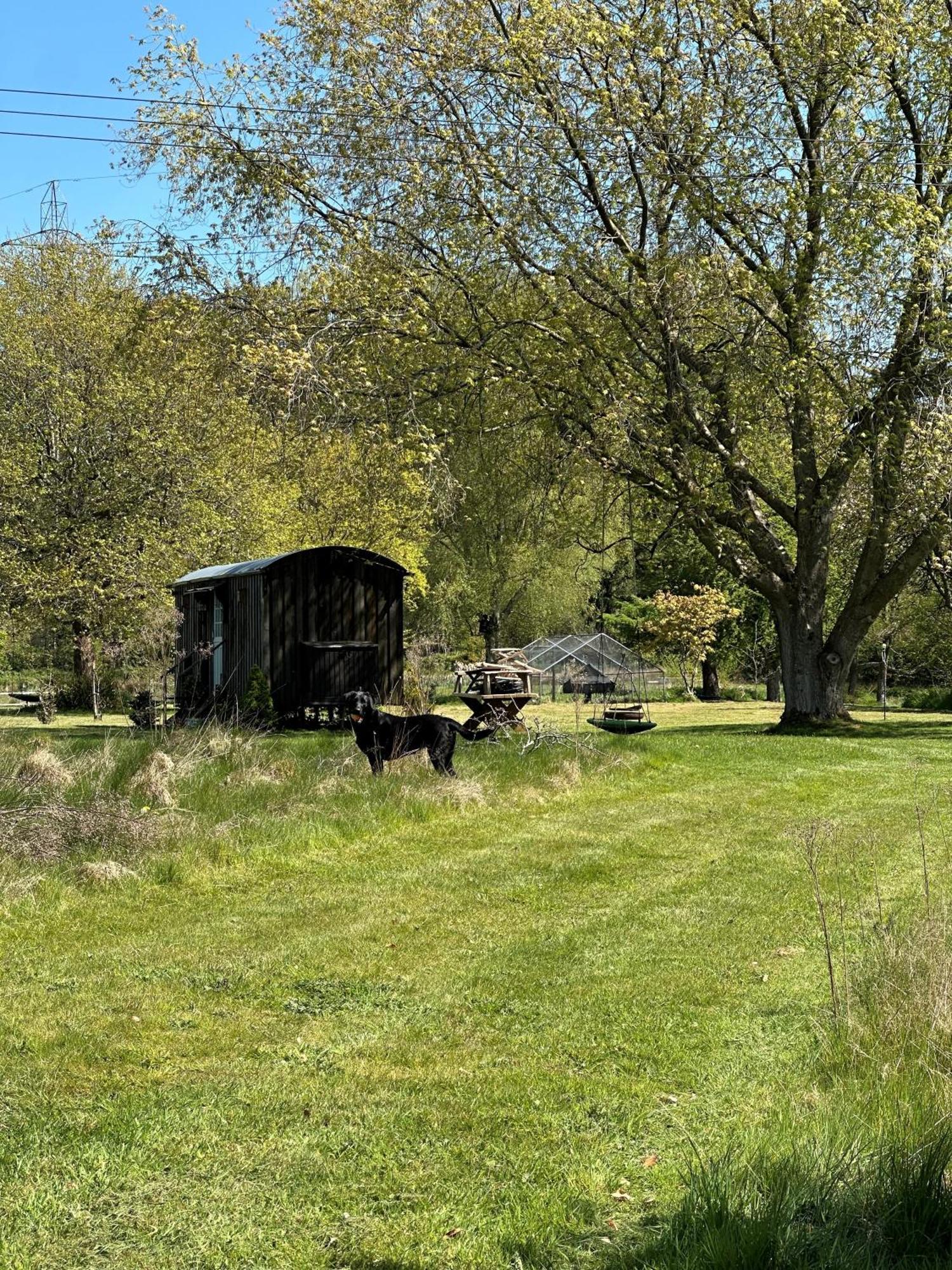 Mountbatten Shepherds Hut & Buckhurst Shepherds Hut Ашфорд Екстер'єр фото